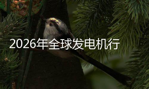 年全内外业国行业先企电机名领球发规模市场市场份额及排